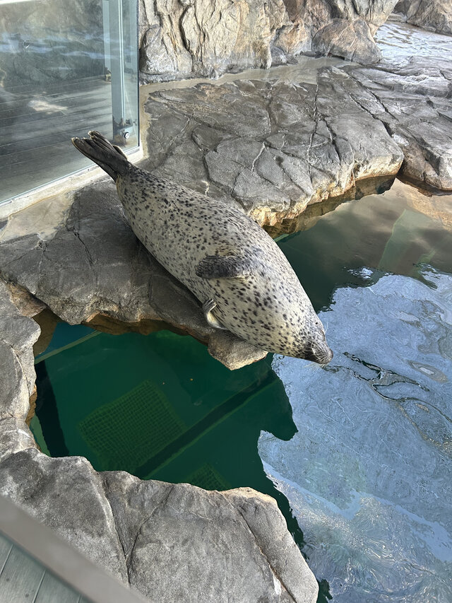 水族館｜写メ日記｜ゆりか｜品川・五反田 人妻デリヘル 奥鉄オクテツ東京店（デリヘル市場）