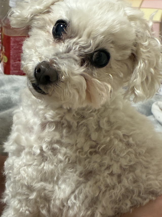暑すぎですねぇᐡ ̳ᴗ ̫ ᴗ ̳ᐡ♡｜写メ日記｜なつめ｜品川・五反田 人妻デリヘル 奥鉄オクテツ東京店（デリヘル市場）