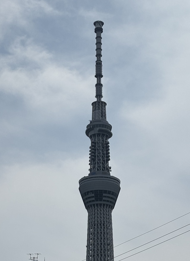 ひよりです｜写メ日記｜ひより｜品川・五反田 人妻デリヘル 奥鉄オクテツ東京店（デリヘル市場）