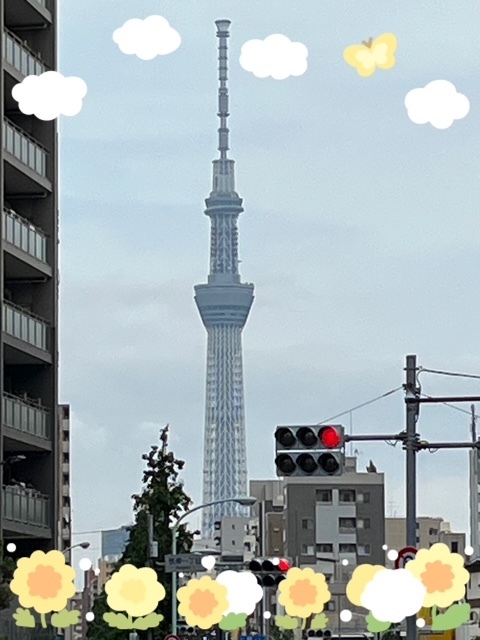 スカイツリー😋｜写メ日記｜みい｜品川・五反田 人妻デリヘル 奥鉄オクテツ東京店（デリヘル市場）