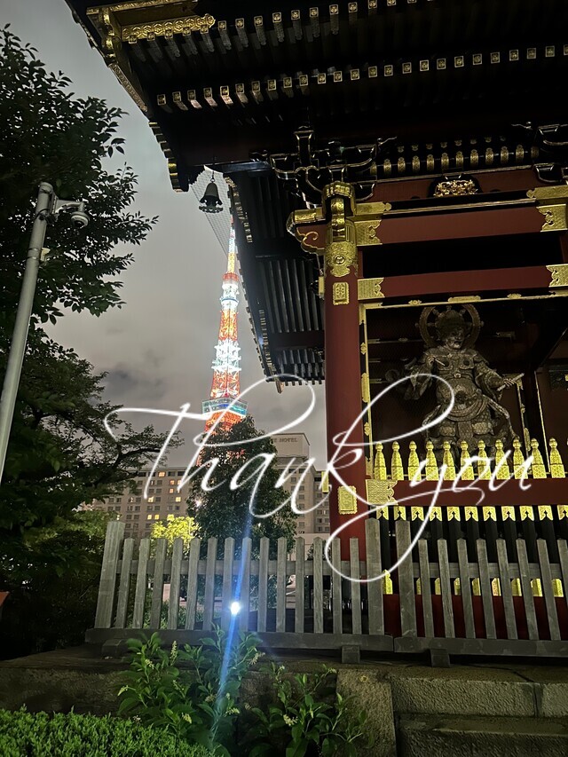 御礼❤️｜写メ日記｜かなこ｜品川・五反田 人妻デリヘル 奥鉄オクテツ東京店（デリヘル市場）