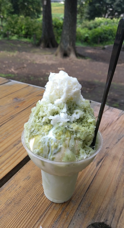 14時の貴方様🍀｜写メ日記｜ゆうみ｜品川・五反田 人妻デリヘル 奥鉄オクテツ東京店（デリヘル市場）