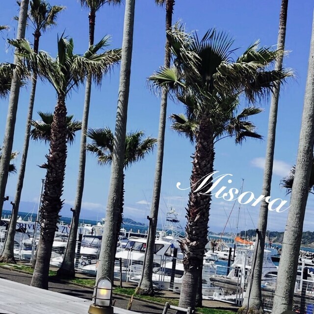 愉悦に浸る♡♡｜写メ日記｜みそら｜品川・五反田 人妻デリヘル 奥鉄オクテツ東京店（デリヘル市場）