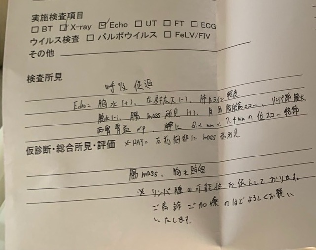 お久しぶりの日記です。ここ何週間前から本当に色々ありまして。