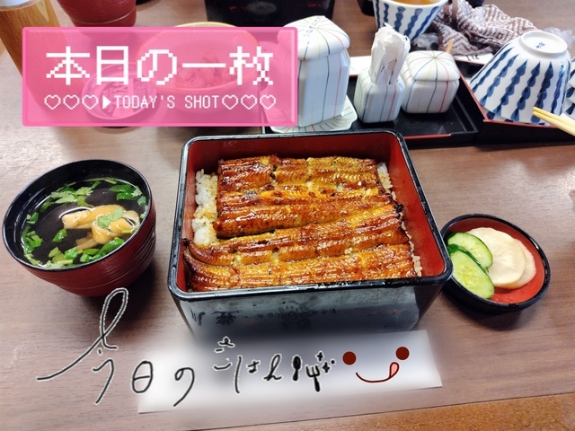 うなぎ！！｜写メ日記｜りの｜品川・五反田 人妻デリヘル 奥鉄オクテツ東京店（デリヘル市場）