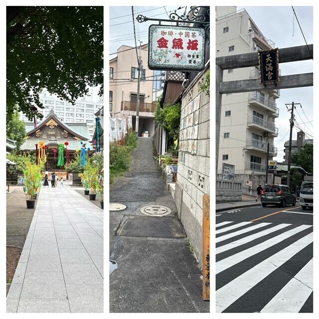 きこ通信｜写メ日記｜きこ｜品川・五反田 人妻デリヘル 奥鉄オクテツ東京店（デリヘル市場）