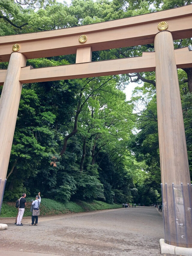 澄みわたる空気｜写メ日記｜なのは｜品川・五反田 人妻デリヘル 奥鉄オクテツ東京店（デリヘル市場）