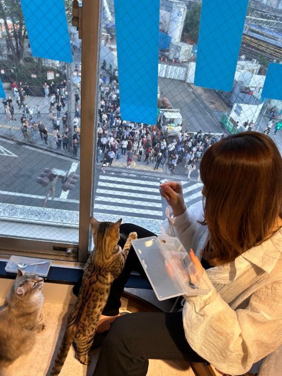 猫派です😛｜写メ日記｜あすな｜品川・五反田 一般デリヘル 五反田RED BERYL～レッドベリル～