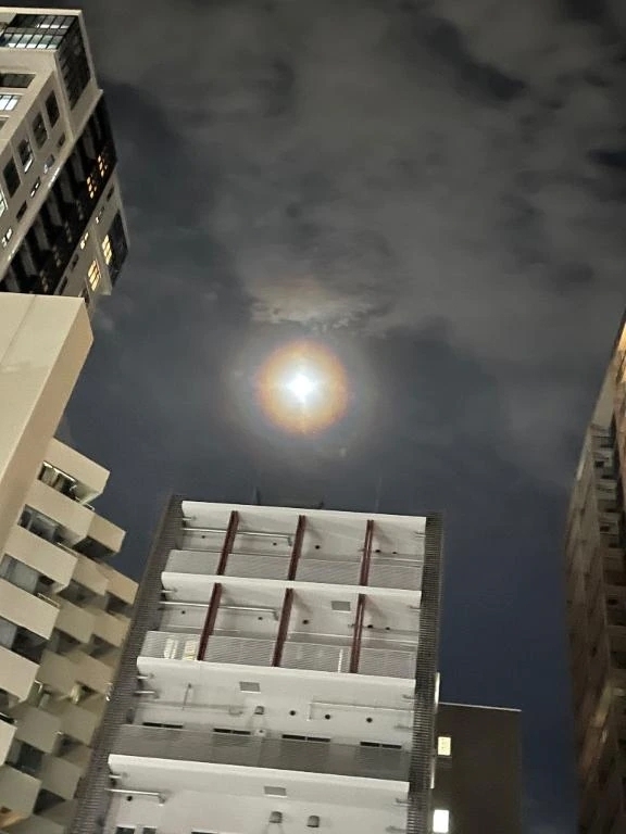 ラストまで╰(*´︶`*)╯♡｜写メ日記｜もな｜品川・五反田 一般デリヘル 五反田RED BERYL～レッドベリル～