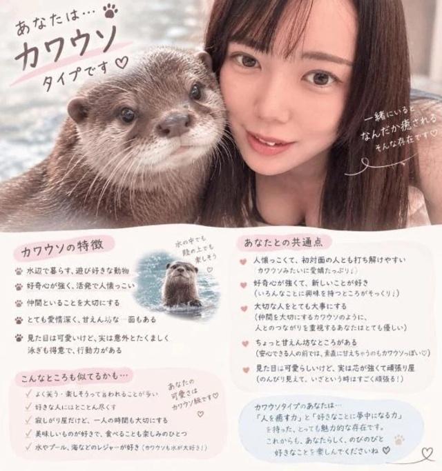 タイプ🐈‍⬛