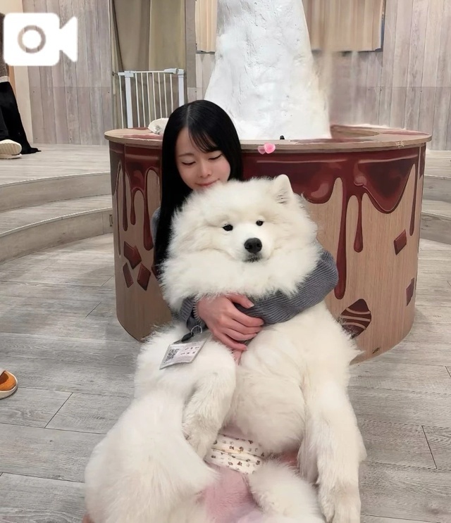 急遽出勤します💨💨