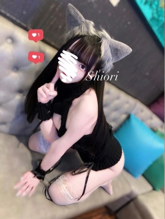 甘え猫さん🐈🐾｜写メ日記｜しおり｜品川・五反田 一般デリヘル 五反田RED BERYL～レッドベリル～