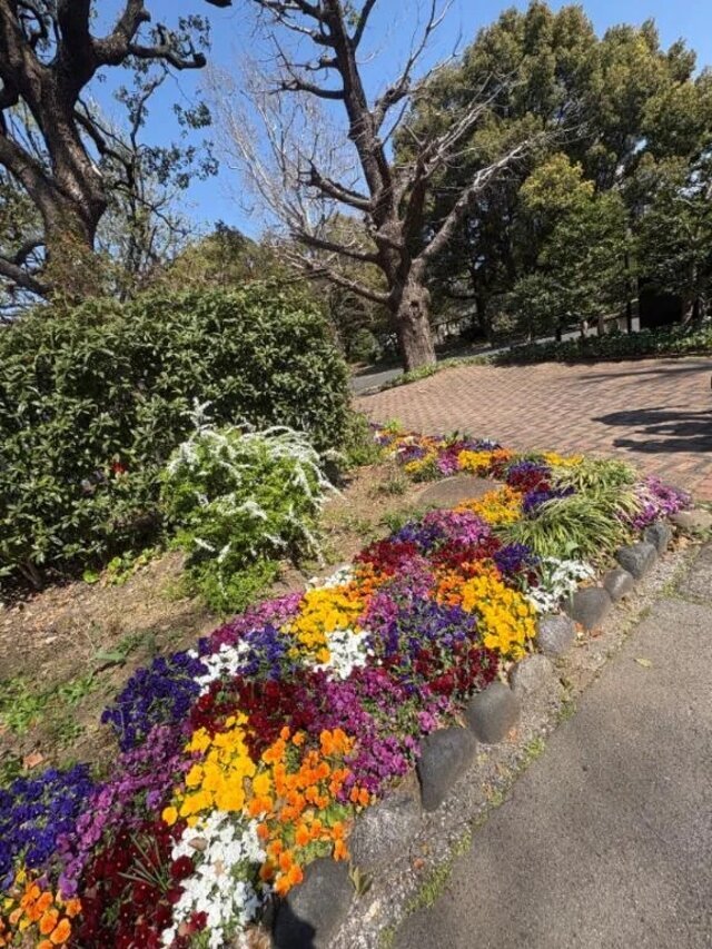 変更のお知らせ🫧｜写メ日記｜ほむら｜鶯谷 一般デリヘル 鶯谷デリヘル倶楽部
