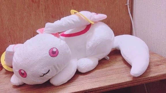 来週🫧｜写メ日記｜ほむら｜鶯谷 一般デリヘル 鶯谷デリヘル倶楽部
