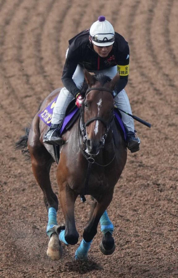 オニャンコポン｜写メ日記｜にいな｜鶯谷 一般デリヘル 鶯谷デリヘル倶楽部