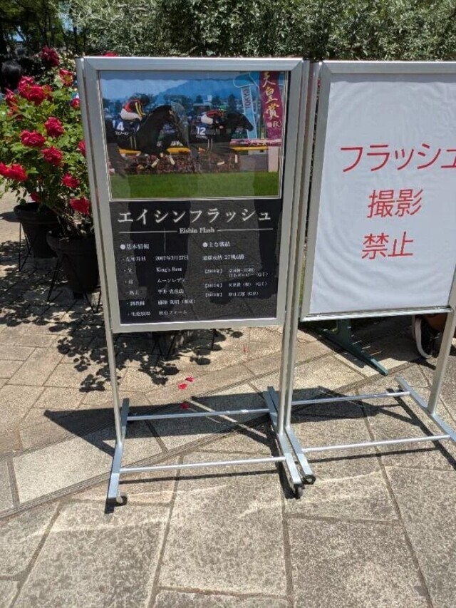 現地｜写メ日記｜にいな｜鶯谷 一般デリヘル 鶯谷デリヘル倶楽部