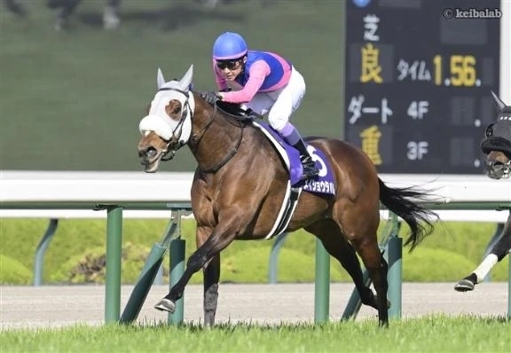 4/7(月)出勤します✨｜写メ日記｜こいろ｜鶯谷 一般デリヘル 鶯谷デリヘル倶楽部