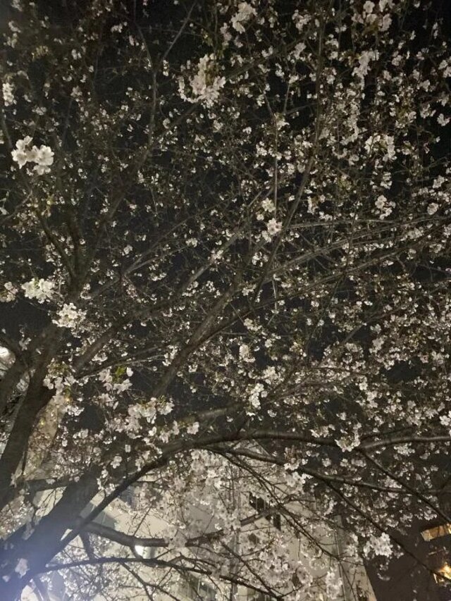 もっと私だけを見てほしいだけなのに