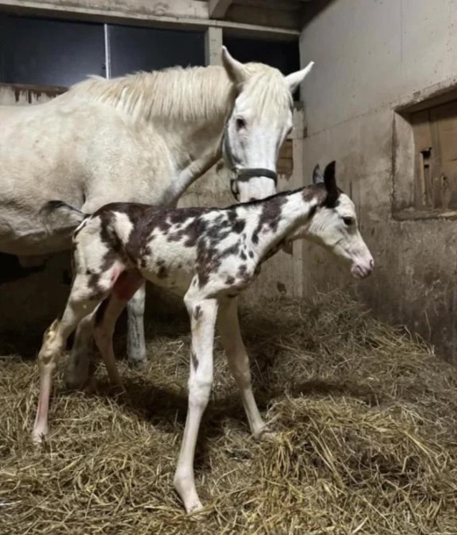 「まさかの一緒」！！｜写メ日記｜あいり｜鶯谷 一般デリヘル 鶯谷デリヘル倶楽部