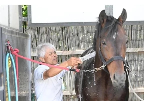 「厩務員デビュー」❗｜写メ日記｜あいり｜鶯谷 一般デリヘル 鶯谷デリヘル倶楽部