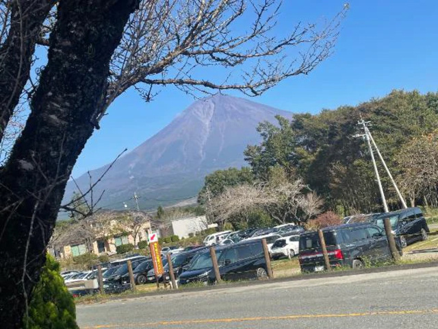 今日は。｜写メ日記｜ななこ｜鶯谷 一般デリヘル 鶯谷デリヘル倶楽部