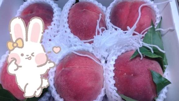 桃饅頭は微妙｜写メ日記｜あすか｜鶯谷 一般デリヘル 鶯谷デリヘル倶楽部