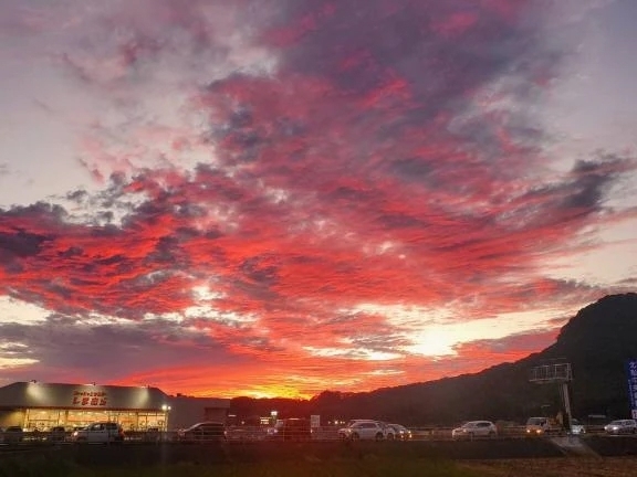 お休みします｜写メ日記｜ことは｜鶯谷 一般デリヘル 鶯谷デリヘル倶楽部