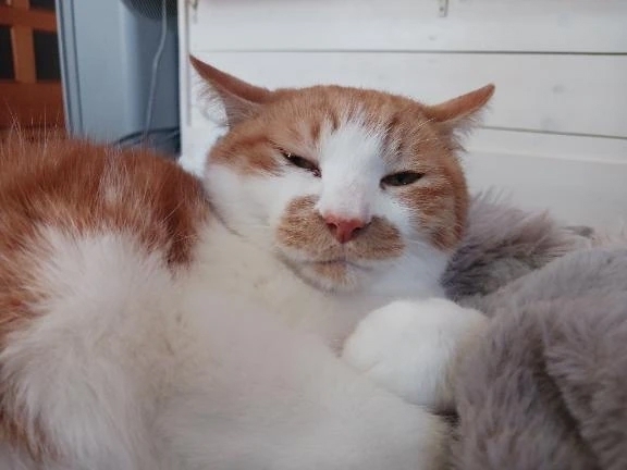 訂正｜写メ日記｜ことは｜鶯谷 一般デリヘル 鶯谷デリヘル倶楽部