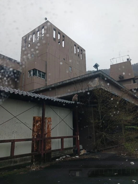 自然と遊んだ日｜写メ日記｜ことは｜鶯谷 一般デリヘル 鶯谷デリヘル倶楽部