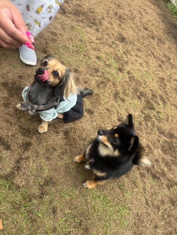 暑すぎる🥺｜写メ日記｜あゆ｜鶯谷 一般デリヘル 鶯谷デリヘル倶楽部