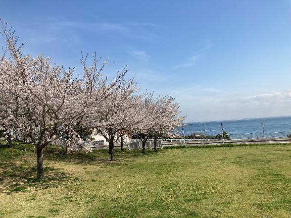 ごめんなさい｜写メ日記｜らら｜鶯谷 一般デリヘル 鶯谷デリヘル倶楽部