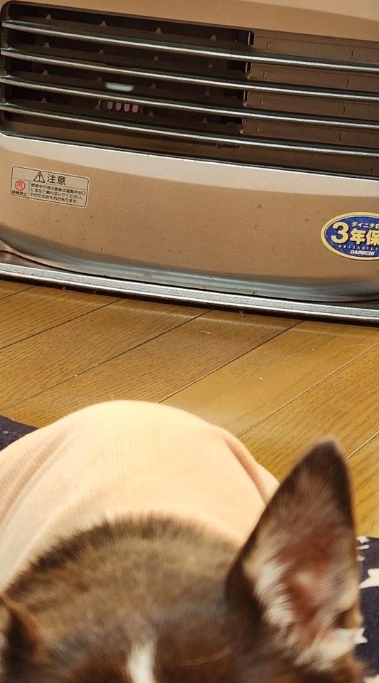 おはよ｜写メ日記｜ひかり｜鶯谷 一般デリヘル 鶯谷デリヘル倶楽部