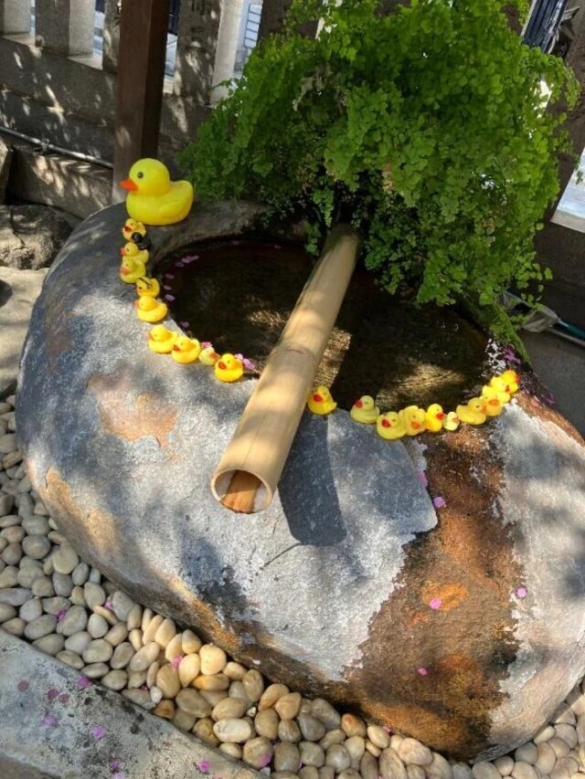 4月｜写メ日記｜あみか｜鶯谷 一般デリヘル 鶯谷デリヘル倶楽部