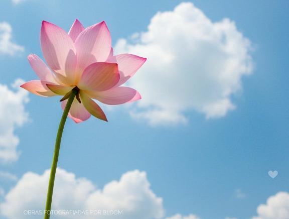 今朝はごめんなさい。。｜写メ日記｜らく・１１月２７日入店｜鶯谷 人妻デリヘル みやこ