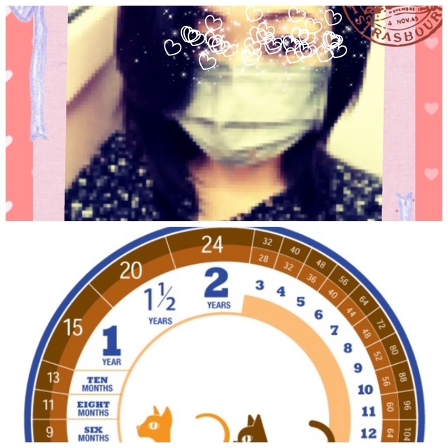 そんなに違う？？｜写メ日記｜あおい｜鶯谷 人妻デリヘル みやこ