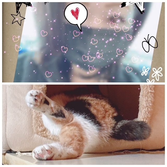 寝相w｜写メ日記｜あおい｜鶯谷 人妻デリヘル みやこ