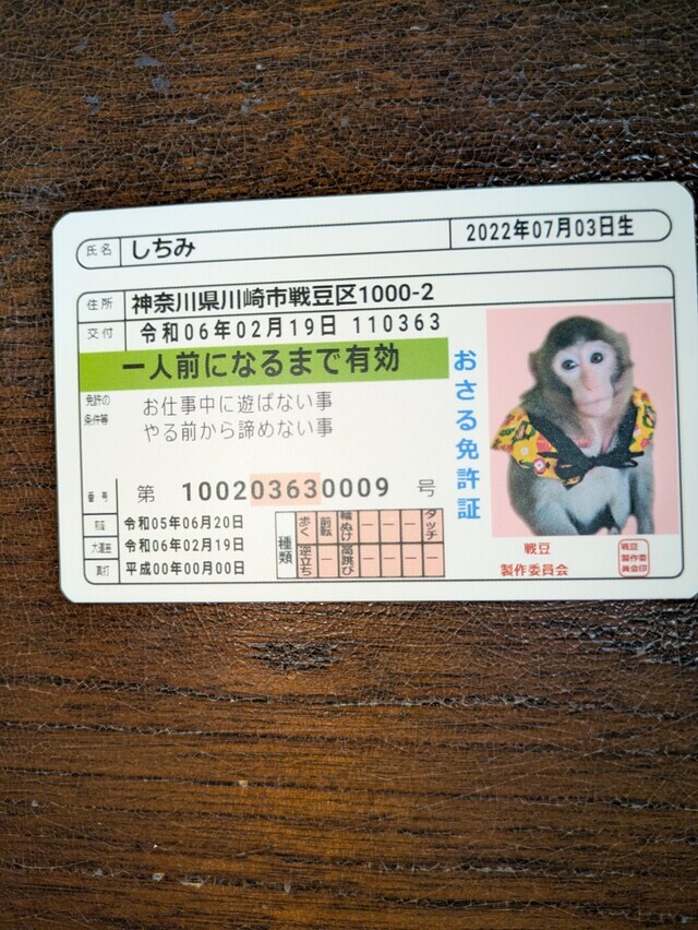 熱海のおサルのしちみちゃん｜写メ日記｜すみれ｜鶯谷 人妻デリヘル みやこ