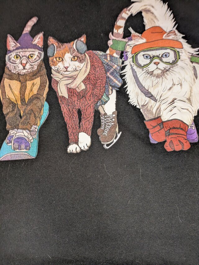 顔出ししますね｜写メ日記｜すみれ｜鶯谷 人妻デリヘル みやこ