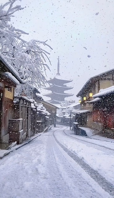 おはようございます｜写メ日記｜りさこ｜鶯谷 人妻デリヘル みやこ