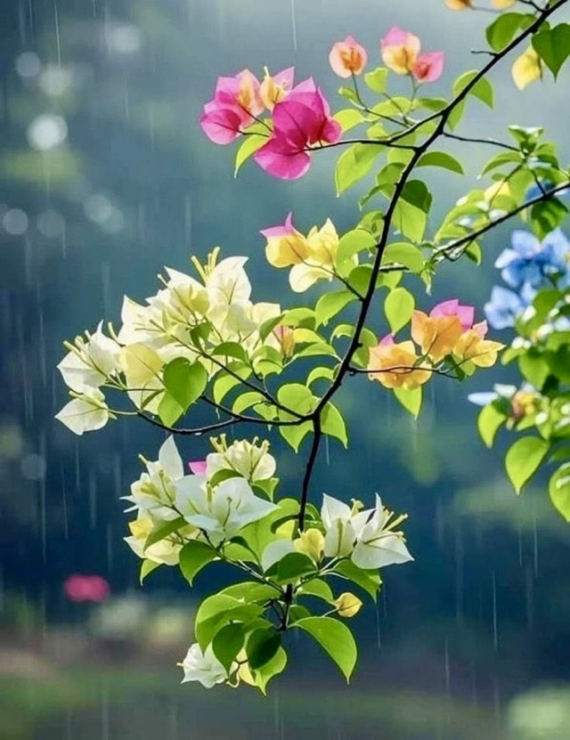 おはようございます｜写メ日記｜りさこ｜鶯谷 人妻デリヘル みやこ