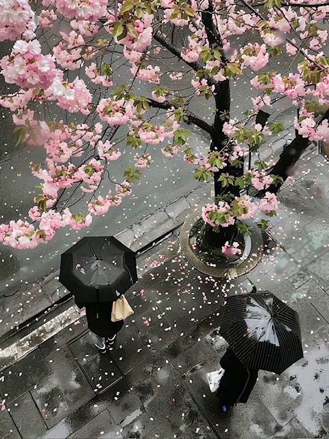 出勤します｜写メ日記｜りさこ｜鶯谷 人妻デリヘル みやこ