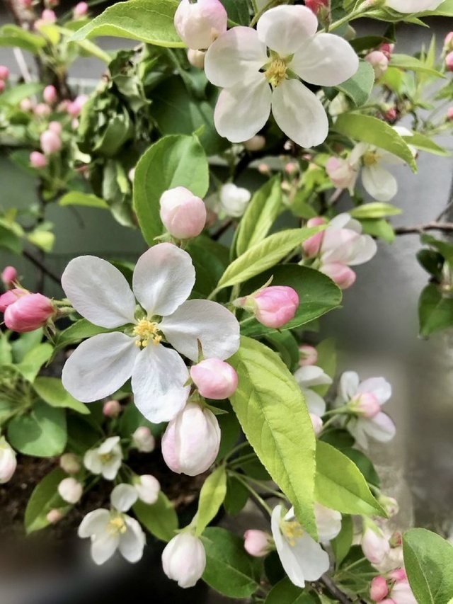出勤します｜写メ日記｜りさこ｜鶯谷 人妻デリヘル みやこ