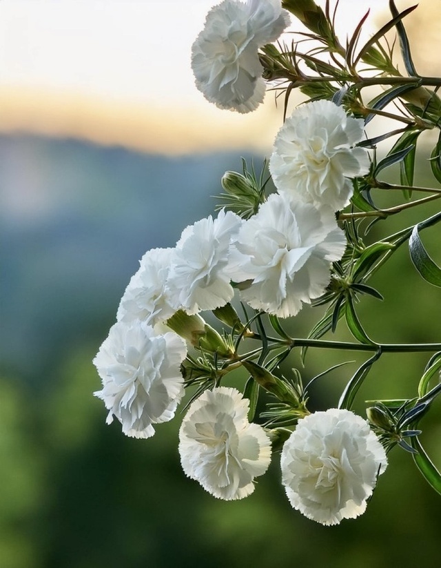 出勤します｜写メ日記｜りさこ｜鶯谷 人妻デリヘル みやこ