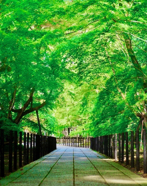 おはようございます｜写メ日記｜りさこ｜鶯谷 人妻デリヘル みやこ