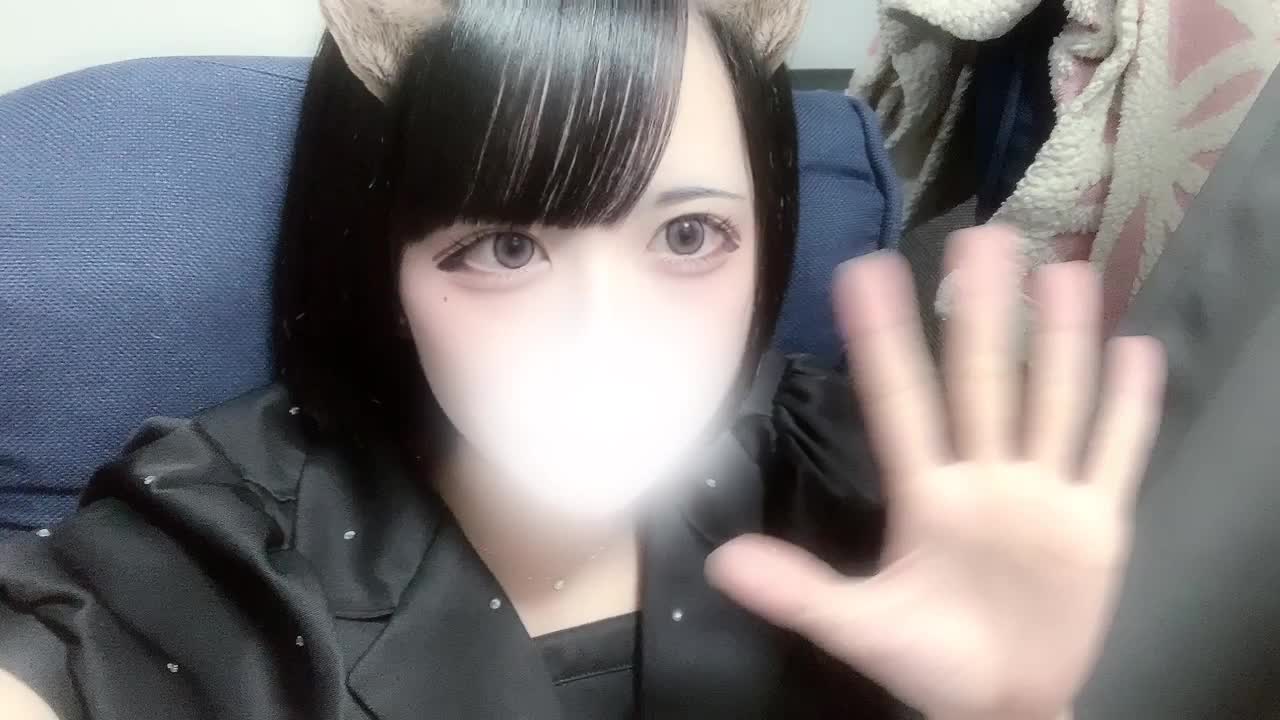 うごきます💨｜写メ日記｜かぐや【超美脚の細身美少女】｜新宿 一般デリヘル STELLA NEXT−ステラネクスト−