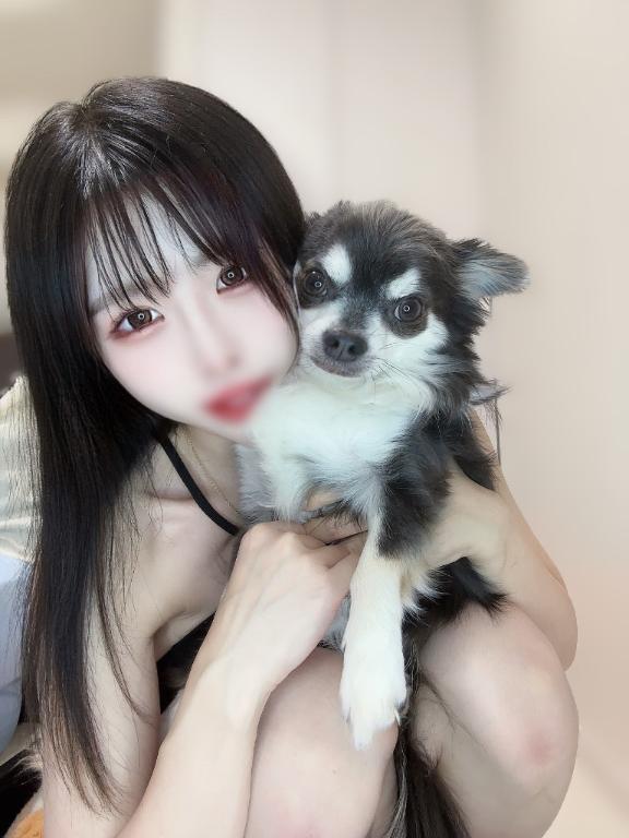 [お題]from:トイプーさん｜写メ日記｜とうふ【Kカップの絶対衝撃】｜新宿 一般デリヘル STELLA NEXT−ステラネクスト−