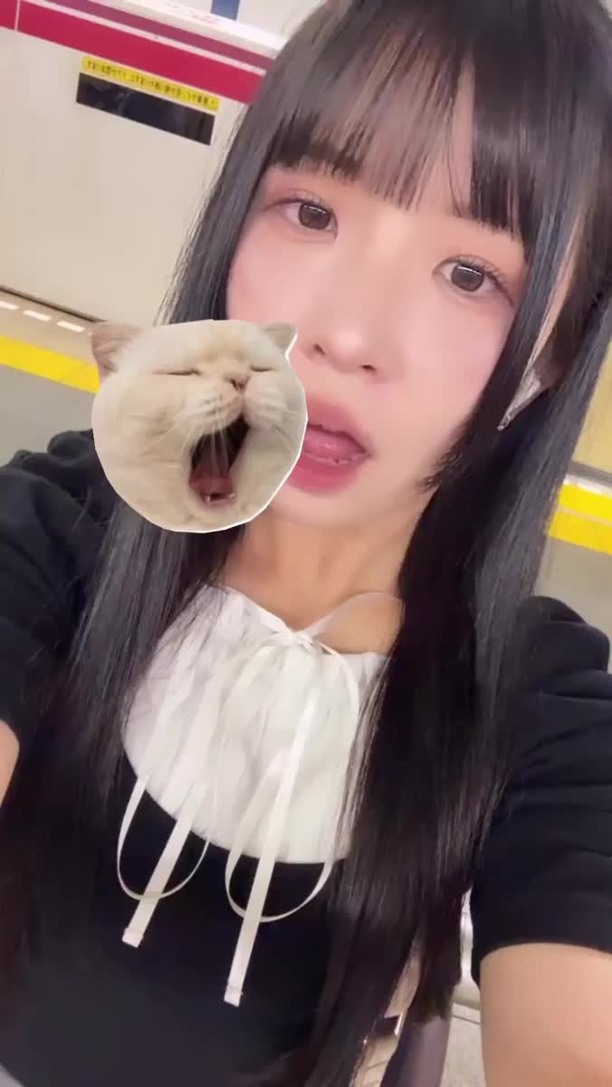 お休み明け🐱ྀི｜写メ日記｜みはる【天性の癒し系美女】｜新宿 一般デリヘル STELLA NEXT−ステラネクスト−