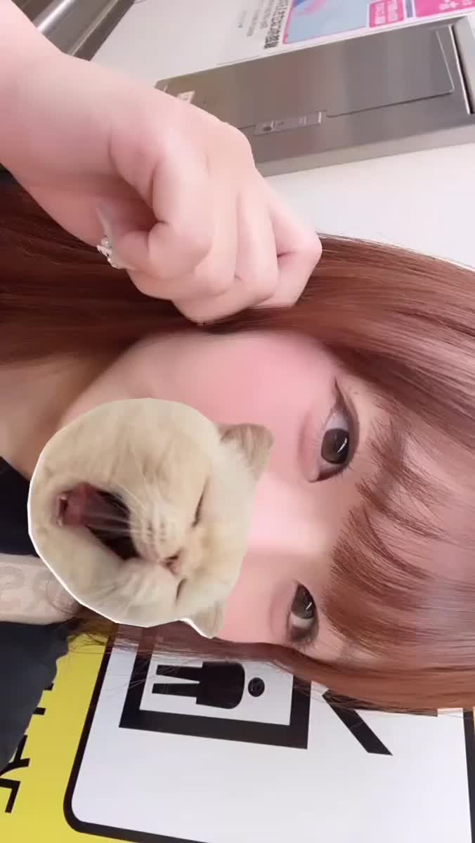 退勤🐱ᩚ🤍｜写メ日記｜みはる【天性の癒し系美女】｜新宿 一般デリヘル STELLA NEXT−ステラネクスト−