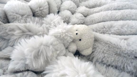 🐱ᩚ🙇🏻‍♀️｜写メ日記｜みはる【天性の癒し系美女】｜新宿 一般デリヘル STELLA NEXT−ステラネクスト−