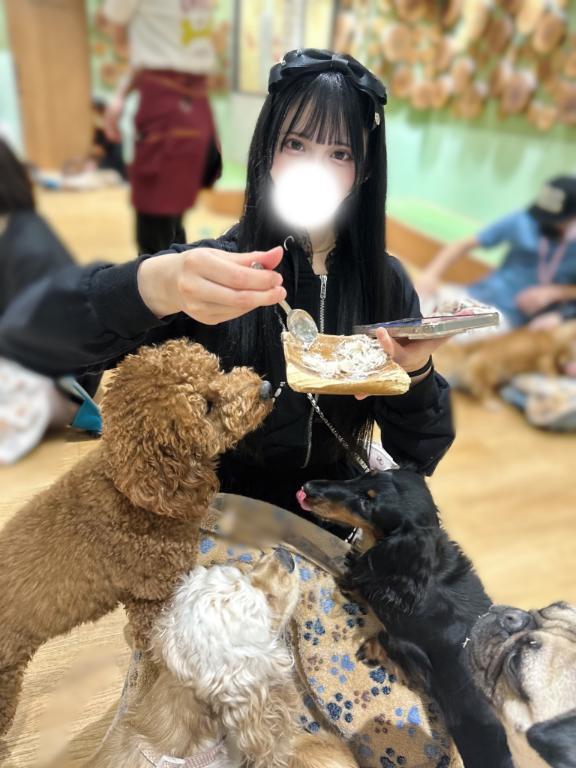 わんことたわむれ🐶 🐾｜写メ日記｜あんり【超カワJDは未経験】｜新宿 一般デリヘル STELLA NEXT−ステラネクスト−